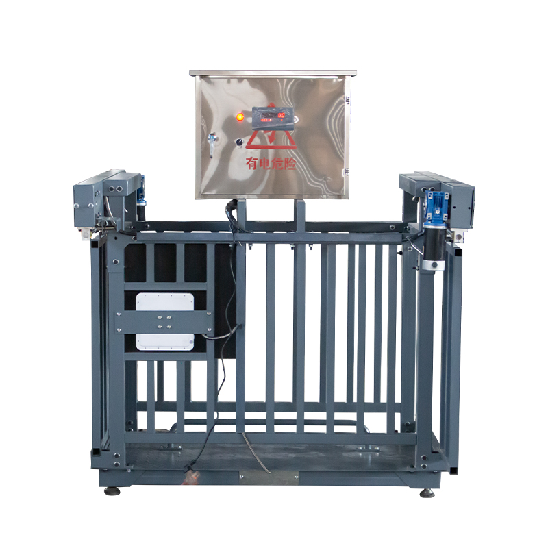 智能羊過(guò)道秤